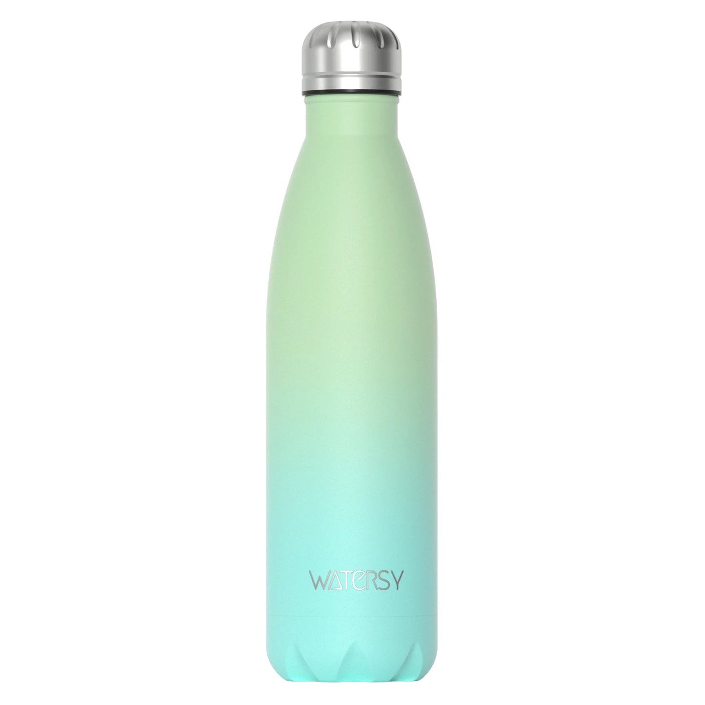 WATERSY 500ml Insulated Stainless Steel Water Bottle